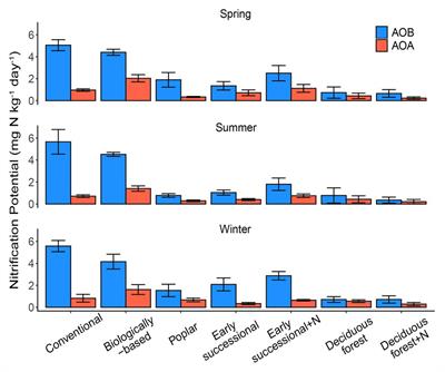 Niche Differentiation of Bacterial Versus Archaeal Soil Nitrifiers Induced by Ammonium Inhibition Along a Management Gradient